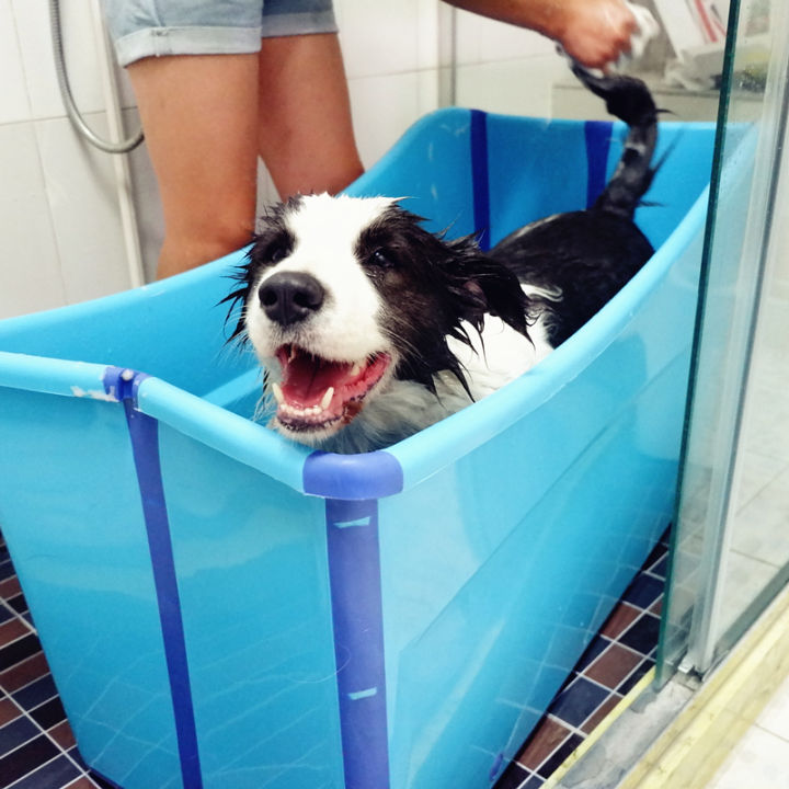 Image showcasing Dog Bathtub Foldable Bathtub Bath Bathtub Large Dog Golden Retriever ...