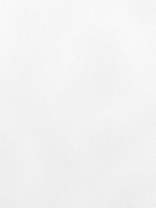 Stainless Steel Door Shaft Hinges Folding Window Hinge Glass Window Connection