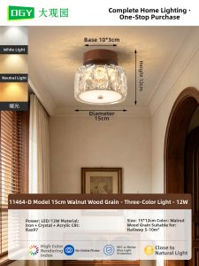 DGY | French Vintage American Retro Glass Ceiling Light