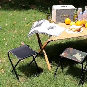 🔥 Portable Outdoor Folding Chair Seat Outdoor Fishing Camping Beach Folding Chair