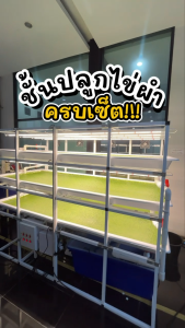 ชุดโครงปลูกไข่ผำ 3 ชั้น มีไฟLEDตั้งเวลาเปิด/ปิด พัดลมหมุนเวียนอากาศ พร้อมถังพักสารอาหารและเก็บเกี่ยว