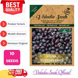 [Virladia Seeds] Biji Benih Tanaman Kacang Bogor