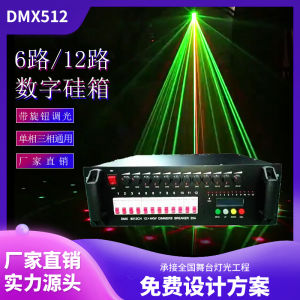 Digital Stage Lighting Power Box 12 Channels 4KW Dimming Silicon Cabinet DMX512 Intelligent System Direct through Box
