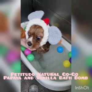 PETITUDO NATURAL GO-GO Pet  Bath Bomb (Approx. 80gm). Safe for dogs and cats. natural ingredients. Support Local.