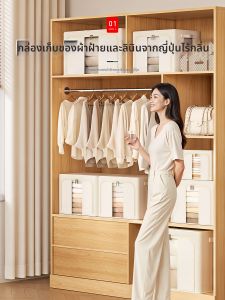 ZHIFAN | Hộp Lưu Trữ Quần Áo Mùa Có Thể Gập