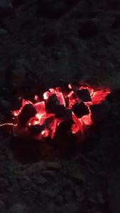 Arang Kayu (Kayu Mahoni Jati Pornis). Bahan untuk bakar: Sate Ikan dan Ayam