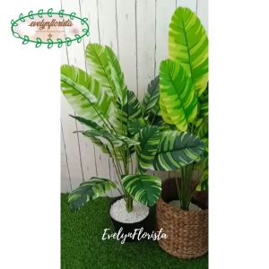 Pohon Daun Musa Florida X18 Semi Latex Artificial Pot Dasar Cover Eceng Gondok Tanaman Hias Pajangan Ruang Tamu Aesthetic