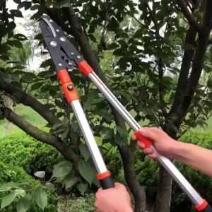 JLD Gunting Dahan Pemotong Ranting Pohon Telescopic Garden Pruning Shear Scissors  Telescopic Gagang Panjang Tinggi