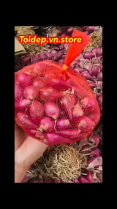 (#Siêu Rẻ) #1KG HÀNH TÍM LÝ SƠN THƠM NGON CHỌN LỰA TỪNG CỦ KO HƯ CỦ NÀO - HÀNH TÍM ẤN ĐỘHÀNH TÍM PHAN RANGHÀNH TÍMTỎI TÍM BẮCCỦ NÉN