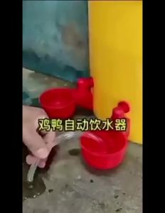 ZEO 6pcs Chicken Cup Waterer 4pcs Water Cups Automatic Waterer Cup Chicken Cup Waterer Chicken Feeder Poultry Drinking Bowl