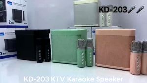 KD-203 Karaoke Wireless Bluetooth Speaker With Dual Wireless Microphone Home Party Audio with 2mic