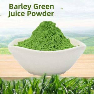 100% Pure Barley Young Leaves Fruit and Vegetable Powder Dietary Fiber Food Powder