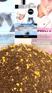 Hạt Mister Donut Siêu Nhiều Topping T1 và T2 Dành Cho Mèo Trưởng Thành Và Mèo Con