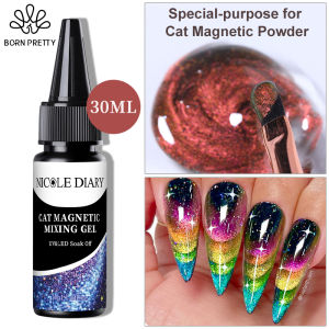 BORN PRETTY NICOLE DIARY 30ml Cat Magnet Mixing Gel Nail Polish Soak Off UV LED Nail Powder Decoration Tool