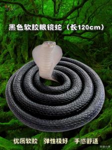 Đồ Chơi Mô Phỏng Rắn Mắt Lớn Bằng Cao Su Đàn Hồi Cho Trẻ Em Mẫu Giáo Đồ Chơi Mô Phỏng Động Vật Rắn Giả Chất Liệu Nhựa Trẻ Em Nam Và Nữ