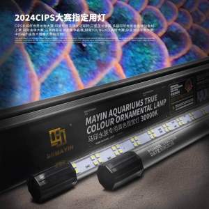 ⚡SG Official Distributor⚡MAYIN 30000K LED Viewing Light for Arowana