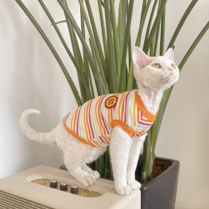 Picture German Cat Clothes Hairless Cat Clothes Sphinx Cat Pure Cotton Stripes Stretch Vest 4 Colors Available Orange