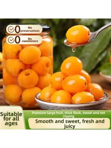 Loquat Dessert Canned Fruit Large Size