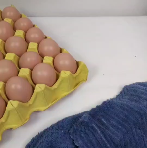 ไข่ไก่ ไข่เป็ด ไข่แผง 30 ฟอง ไข่ปลอม  ไข่พลาสติก สำหรับตกแต่งร้านอาหาร ตู้โชว์อาหาร