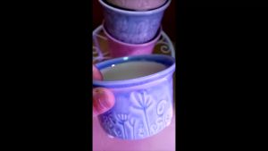 JCLSGP Korean Style Personality Succulent pot