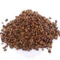 100gr Herbal Jue Ming Zi 决明子 Semen Cassiae Foetid Cassia Seed Seeds Semen Cassiae Cassia Tea Clear Liver Improve Vision. 