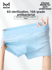 MiiOW | Disposable Mens Boxer Underwear Coolness Invisible Travel Friendly XXL Size