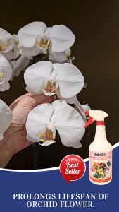 ANDGRO Foliar Spray for Flowering& ANDGRO Foliar Spray for Strong GrowthBundle (Orchid)