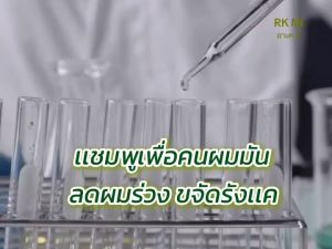 อาเคมิ เเชมพูสมุนไพรมะกรูด เลม่อน เจลใสเข้มข้น ลดผมมันคันหัว ผมร่วง ขจัดรังเเค สูตรบำรุงหนังศรีษะ  ไม่ใส่สี ซิลิโคน Paraben