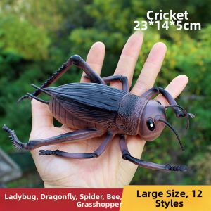 UCOK | Large Childrens Plastic Insect Models