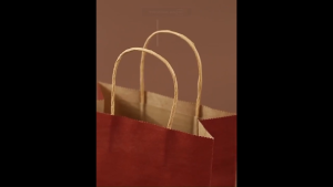 Kraft Colour Paper Gift | Party DIY Goodie Bag (1 pc)