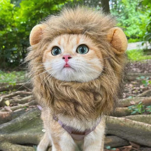 Pet Hat Cute Lion Mane Wig Hat Dog Cat Pet Decor Lion Hair Cap Pet Cosplay Halloween Party Festival Costume