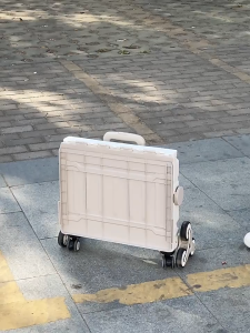Foldable Shopping Cart Utility Cart Trolley Folding Large Capacity Stairs Climb Multifunctional