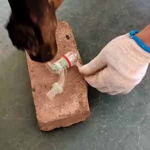 Water Tap Plastic Pvc Water Tap Paip Air Transparent Plastic ( 1/2" Standard Size ) Pili Air Transparent High Quality