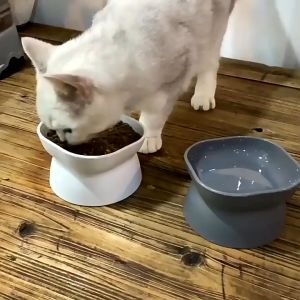 Minimalist Raised Plastic Pet Bowl with High-foot Base Neck Protection Elevated Double Side Use Cat Bowl Pet Utensil