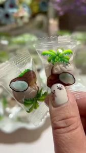 500g kẹo dừa nửa quả sakura giòn rụm thơm béo vị dừa