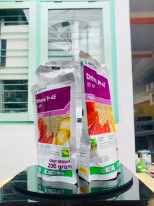 Fungisida busuk batang daun buah Dithane M-45 80WP dr CORTEVA
