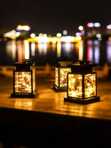 BEAUTY IN THE LIGHT | Solar Waterproof Motion-Sensor Garden Lights