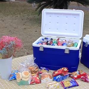 Insulated & Odor-proof Cooler