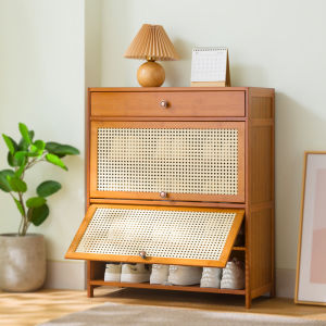 Economical Indoor Easy Entrance Large Capacity Multi-Layer Dustproof Shoe Cabinet