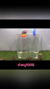 100% ยาเบื่อหนูที่ได้ผลและแห้ง ยาเบื่อหนู กําจัดหนู ยาฆ่าหนู ยาเบื่อหนูชนิดรุนแรง ไม่เป็นอันตรายต่อสัตว์อื่น ไม่มีกลิ่น ยาเบื่อ หนูแห้ง สเปรย์ไล่หนู ไล่หนูถาวร ยาไล่หนู และเหยื่อกําจัดหนู