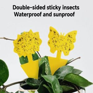 Fungus Gnat Killer Non-Toxic and Odorless Fungus Gnat Traps Protect The Plant Sticky Board Traps for Garden Plants Kitchen