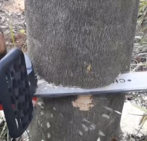 Reaim Gergaji Listrik Rantai 16 inch Multifungsi Gergaji Pemotong Kayu Elektrik Tanpa Kabel mini pemotong