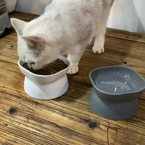 SKISOPGO Cat Food Bowls Elevated Cat Dog Large Capacity Feeding Bowl Neck Protective Dog Feeder Bekas Makanan Kucing