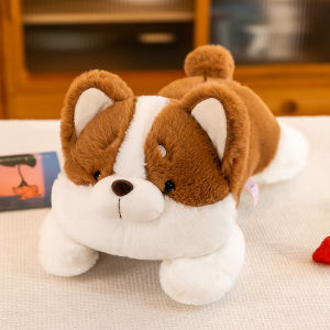 QIAOSHANG | Plush Toy Corgi Dog with Husky Design for Boys and Girls