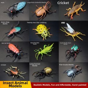 JING MEI TOY | Educational Insect Specimen Models For Children