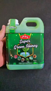 Super GREEN HONEY Madu Hijau Al-bany Nett 1kg (solusi Asam Lambung & lambung Akut) Madu Alami Untuk Lambung Akut Madu Cair Berkualitas Produk Sehat Dengan Biotin - Lazada