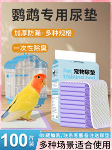 กระดาษซับปัสสาวะครั้งเดียวแบบใช้แล้วทิ้งสำหรับผู้เลี้ยงนก พิมพ์ลายนกพิราบ อุปกรณ์สำหรับผู้เลี้ยงสัตว์เลี้ยงในบ้าน แผ่นซับปัสสาวะนก