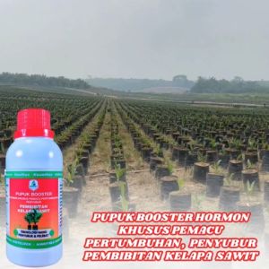 Pupuk Khusus Bibit Kelapa Sawit Pupuk Bibit Sawit Kecil Pupuk Untuk Kecambah Sawit Pupuk Daun