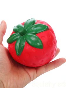 Large Stress Relief Decorative Model