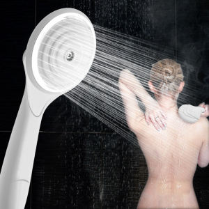 Home Shower Supercharged: Handheld Nozzle & White Water Heater